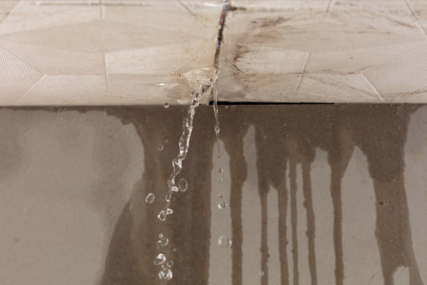 Professional Structural Drying technician working in Mantua, OH